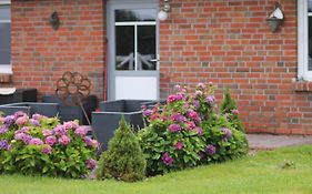 Balzwiekje Auszeit auf Pferdehof in Ostfriesland